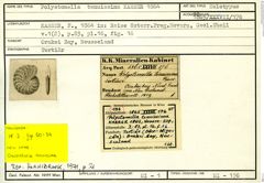 Karteikarte zum Holotyp von Polystomella tenuissima Karrer, 1864